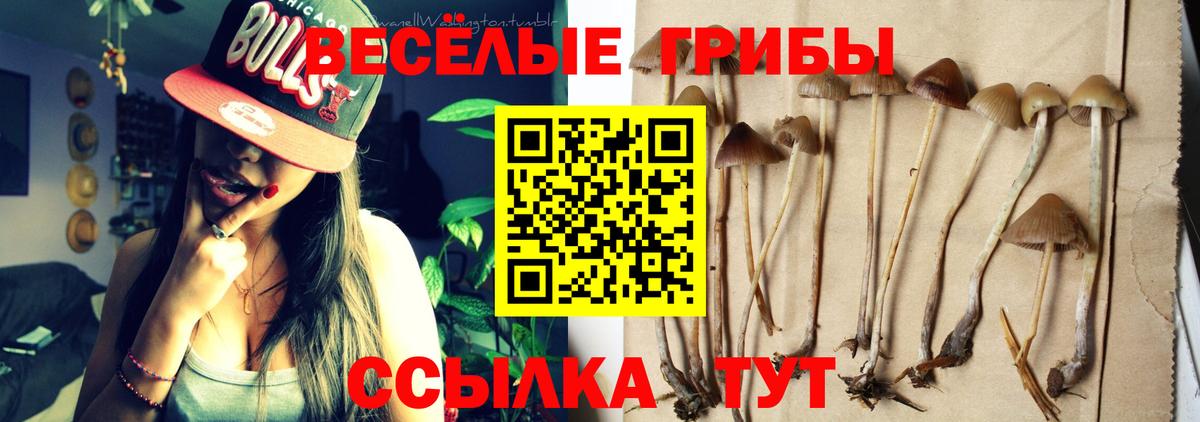 Орёл  Псилоцибиновые грибы Magic Shrooms  Вход с VPN 